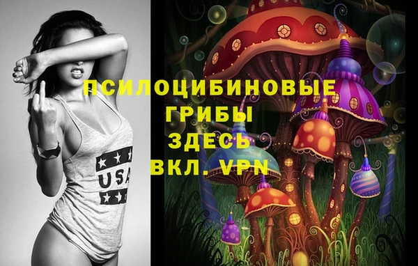 ГАЛЛЮЦИНОГЕННЫЕ ГРИБЫ Магас