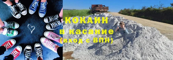 ГАЛЛЮЦИНОГЕННЫЕ ГРИБЫ Магас
