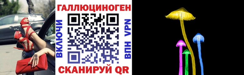 Купить Североуральск Галлюциногенные грибы Psilocybe