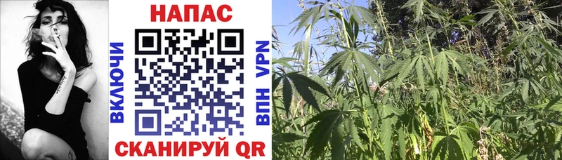 Купить  Североуральск  Канабис THC 21% 